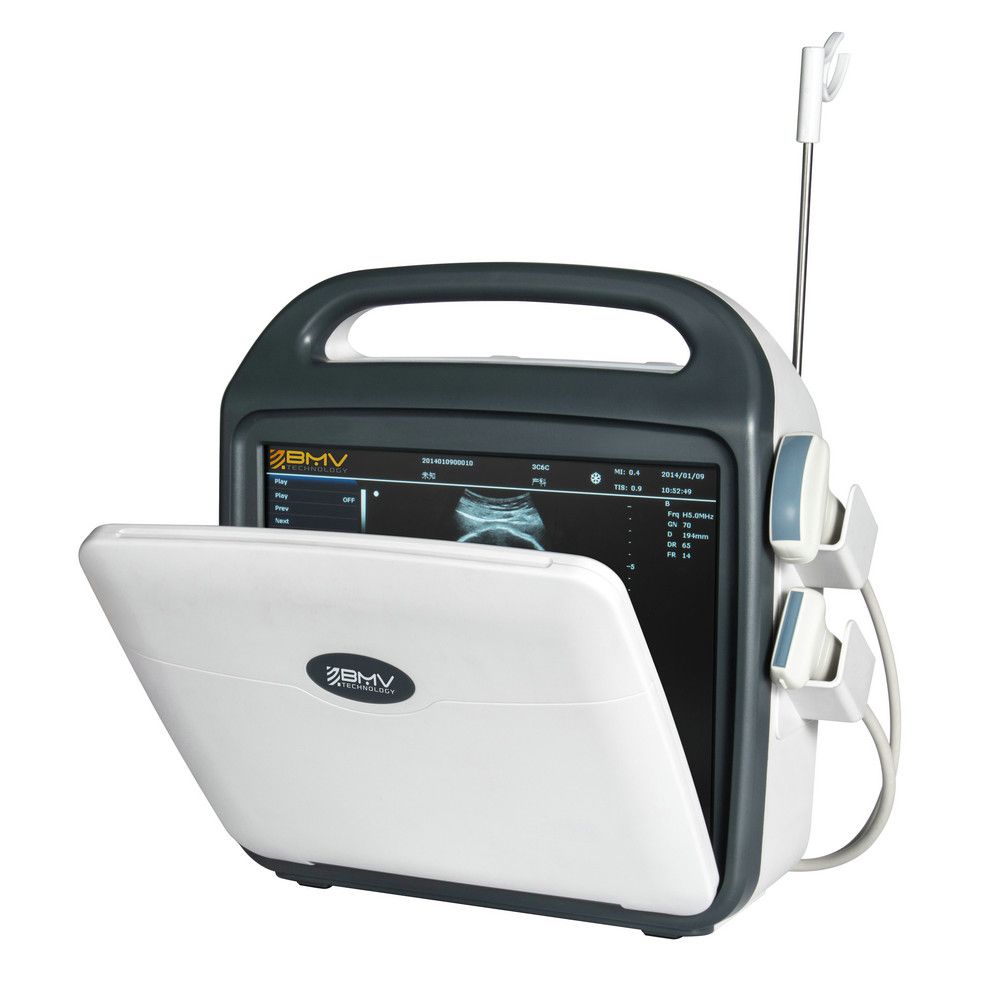 Veterinary Equipment Medical Ultrasound Cat Dog 3D Scanner